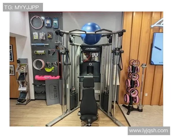 全面解析健身器材种类与功能助你选择最适合的健身设备